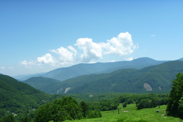 summerholiday