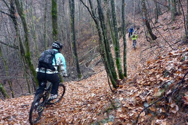 trail1
