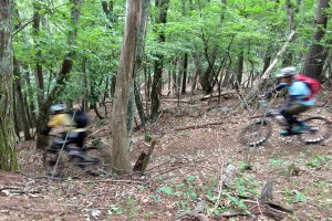 trail