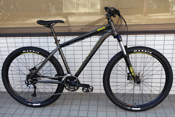 MDS bikes Rocky Mountain SOUL 710