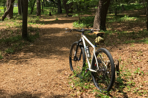 MDS bikes » 使ってみました。ENVE カーボンリジッドフォーク