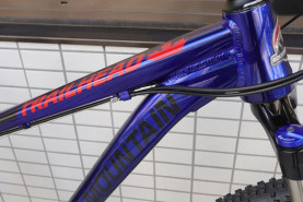 個性的なカラーとグラフィックも、このバイクの魅力であります。